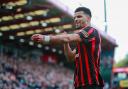 Dominic Solanke is your Micky Cave/Daily Echo AFC Bournemouth player of the year