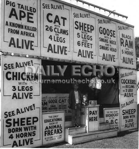 Freak animal show at  Quamps  Christchurch.  30/8/63