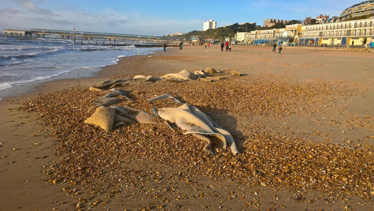 Picture from Jane Scott. Debris believed to be from the surf reef washes up on Boxing Day 2017