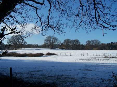 Canford Magna. Sent in by Susan Ricketts. 