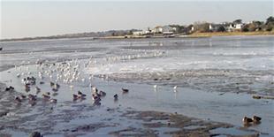 Chilly waters at Mudeford. Taken by Ken Ames.