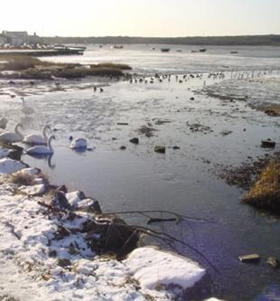 Chilly waters at Mudeford. Taken by Ken Ames.