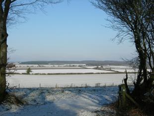 Dorset Landscape from Badbury Rings, sent in by Greta Chippendale of Blandford.