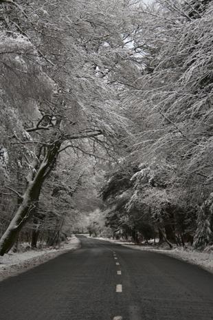 Snow in the New Forest, on the road to Beaulieu. Taken by Mark Senior.
