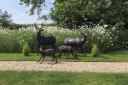 Several bronze sculptures have been stolen from a property in Milton on Stour. Picture: North Dorset Police 