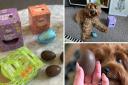 Looking for dog-friendly Easter eggs? These treats from Pets at Home could be the one