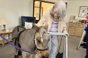 Kelloggs the mini horse visits Fairlawn care home residents