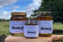 Honey by Ian and Co has 30 hives across Dorset and Hampshire