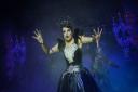 PANTO REVIEW: Sleeping Beauty, The Octagon, Yeovil
