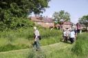 Come join us for guided walks at Turbary and Kinson Common