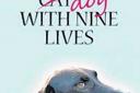 The Dog With Nine Lives - Della Galton (Accent, £9.99) ***