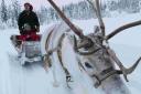 Super Reindeer Safari in Ylläs