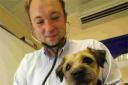 DEDICATED: Tom Mowlem at the Companion Care Vet Surgery in Winton giving Buddy the dog a check-up