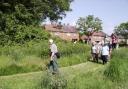 Come join us for guided walks at Turbary and Kinson Common