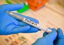 Fewer than 10 new coronavirus cases reported in Dorset