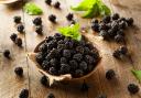Undated Handout Photo of blackberries. See PA Feature GARDENING Blackberries. Picture credit should read: Alamy/PA. WARNING: This picture must only be used to accompany PA Feature GARDENING Blackberries..