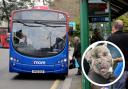 A dog was returned to its owner after it wandered onto the 25 bus route.