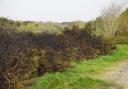 Fire at Bourne Valley Nature Reserve on April 6