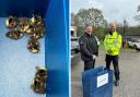 Stranded ducklings rescued from the middle of the A338