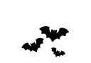 Kinson Common bat walk on Saturday, September 20