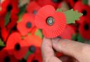 Remembrance parade and wreath-laying to be held in Highcliffe