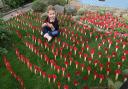 Julianna Taylor, 5, with the sea of poppies that she has created