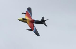 The Hunter "Miss Demeanour". Picture: Rob Fleming
