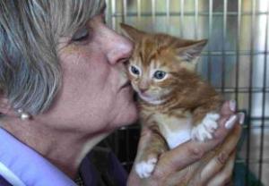 CLOSURE THREAT: Janette Frankland with one of her younger residents at the Lymington Cat and Kitten Rescue Centre