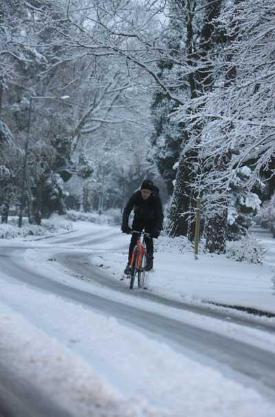 Cyclist in East Avenue. Picture by Richard Crease. 