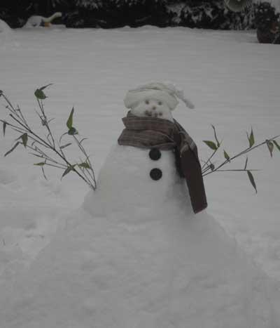 December 2, 2010. Snowman in the back garden at Bournemouth. Picture Melanie Hinden.