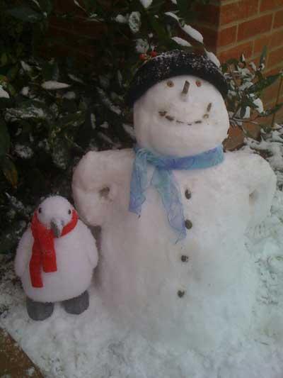 December 2, 2010. A snowman and friend. Sent in by Nadine Gorman, Ferndown