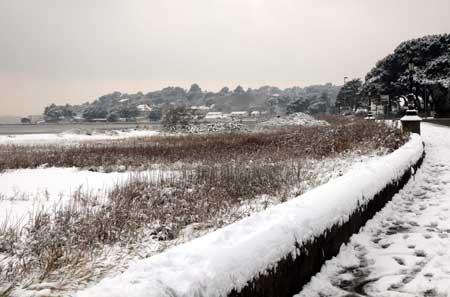 December 2010. David Porter's photo of Shore Road Sandbanks in the snow.  