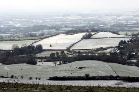 The view across Fontwell Down on December 17.