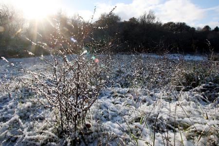 Pamphill near Wimborne gets a fresh snowfall.