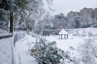 Snowy Boscombe Gardens. Taken by Ricky Bedding.