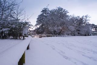 Snow in Poole Park . Taken by Kasia Nowak.