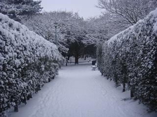 Southbourne in the Snow, taken by Geoff Barlow. 