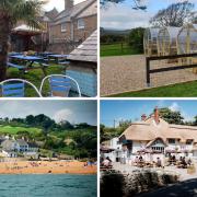 The best pub beer gardens in Dorset