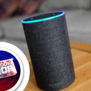 Did you know that you can play games on your Amazon Alexa?