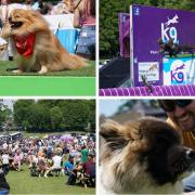 Thousands of dogs attend Dogstival in Burley