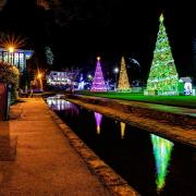 Christmas Tree Wonderland in Bournemouth Lower Gardens by Shazz Hooper