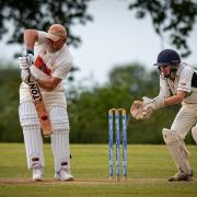 Cricket in Dorset has been incorporated into a new 'Cricket Dorset' umbrella