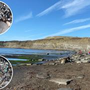 Plastic nurdles have been washing up at Kimmeridge Bay
