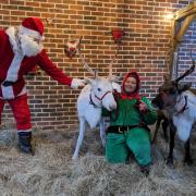 Jingles and Prancer with Father Christmas at Woodpeckers care home in Brockenhurst