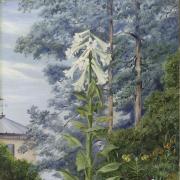 Marianne North's painting has led to search for the missing Parkstone garden.