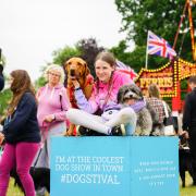 Dogstival is back this summer.