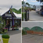 Chestnut Nursery, Haskins and Canford Magna are among the highest-rated garden centres in and around the BCP area