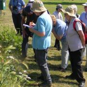 Nature lovers invited to join guided walks next weekend
