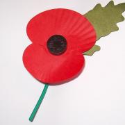 A poem for Armistice Day by Bournemouth's Poet Laureate