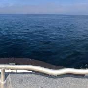 The view back towards the coastline from the SeaCat at the closest point to shore of the proposed Navitus Bay wind farm site off the Dorset coastline.